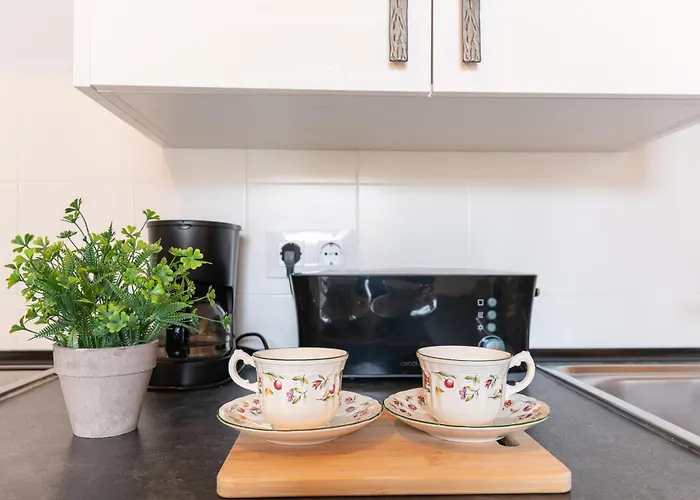 Singular * Puente Arce