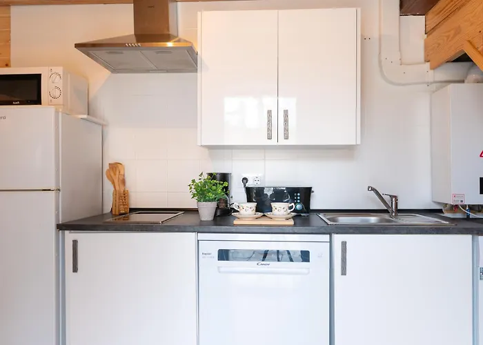 Singular Apartment *